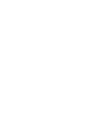 bed bug service icon
