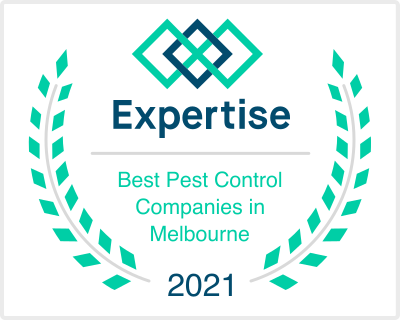 Expert Pest Control Company