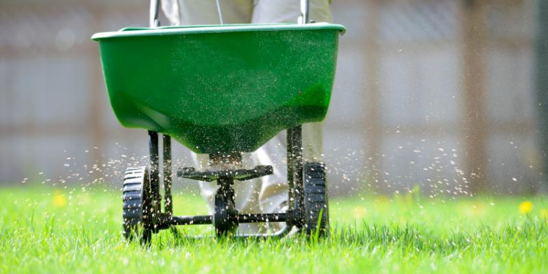 lawn technician fertilizing green grass